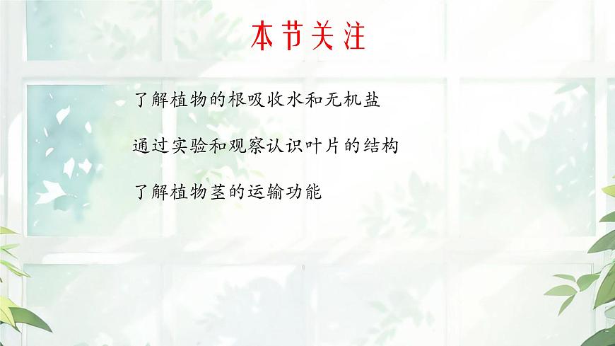 初中 生物  苏教版（2024 七年级下册4.10.1 植物的营养器官 课件第3页
