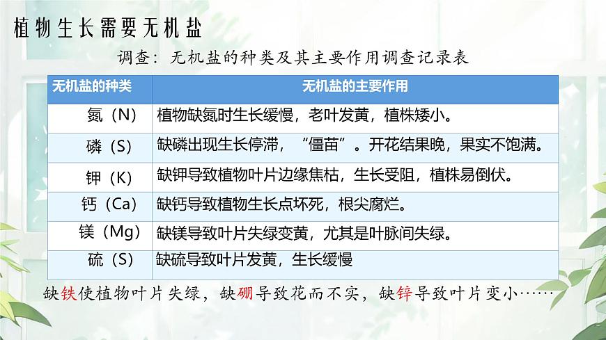 初中 生物  苏教版（2024 七年级下册4.10.1 植物的营养器官 课件第7页