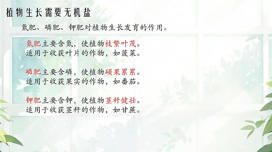 初中 生物  苏教版（2024 七年级下册4.10.1 植物的营养器官 课件第8页