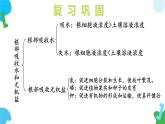 4.10.1 植物的营养器官（教学课件）（第二课时）-2024-2025学年七年级生物下册（苏教版2024）