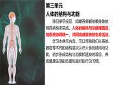 3.1.1 消化系統(tǒng)的組成 課件-2024-2025學年冀少版生物七年級下冊