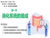 3.1.1 消化系統(tǒng)的組成 課件-2024-2025學年冀少版生物七年級下冊