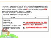 蘇教版七年級生物下冊中考新動向課件
