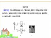 蘇教版七年級生物下冊實驗探究課件