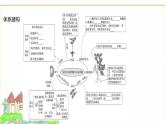 蘇教版七年級生物下冊第4單元綜合回顧(一)課件