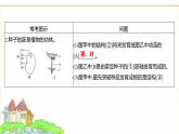 蘇教版七年級生物下冊第4單元綜合回顧(一)課件