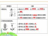 蘇教版七年級生物下冊第4單元綜合回顧(一)課件