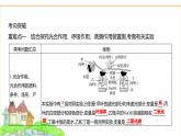 蘇教版七年級生物下冊第4單元綜合回顧(二)課件