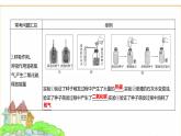 蘇教版七年級生物下冊第4單元綜合回顧(二)課件