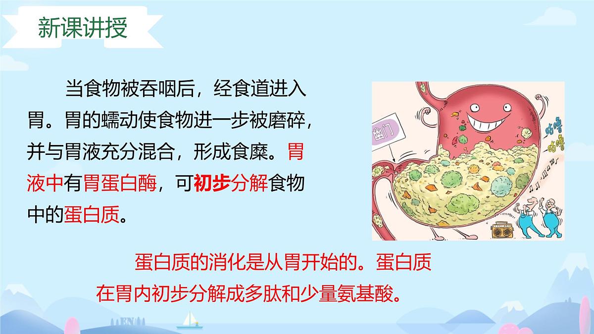 3.1.3 第二课时 食物在胃肠内的消化 2025学年七年级下册（冀少版2024） 课件第7页