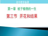 3.1.3 开花和结果课件-2024-2025学年七年级生物学下册