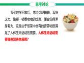 3.1.2 人體生命活動(dòng)需要的營(yíng)養(yǎng)物質(zhì) 課件 2025學(xué)年冀少版生物七年級(jí)下冊(cè)
