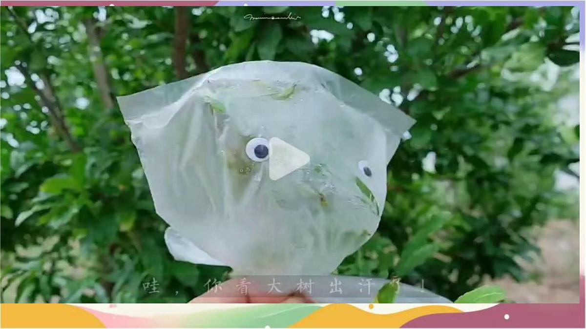 3.2.1 水的利用与散失 课件-2024-2025学年人教版生物七年级下册第1页