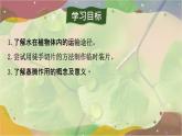 3.2.1 水的利用與散失 課件-2024-2025學(xué)年人教版生物七年級下冊