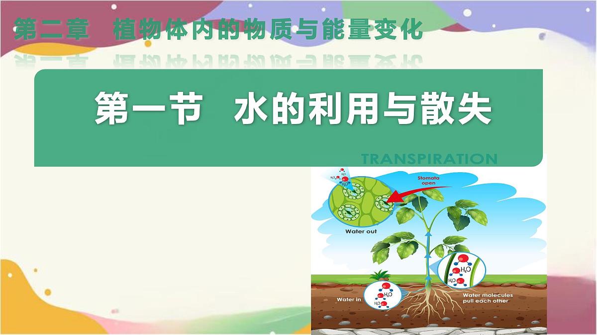 3.2.1 水的利用与散失 课件-2024-2025学年人教版生物七年级下册第3页