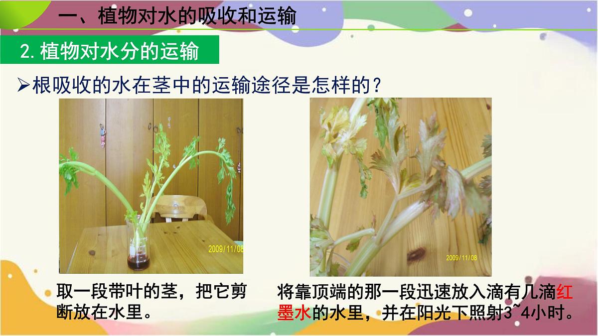 3.2.1 水的利用与散失 课件-2024-2025学年人教版生物七年级下册第5页
