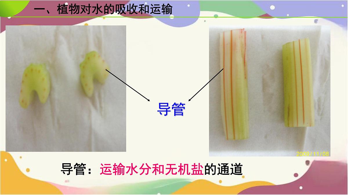 3.2.1 水的利用与散失 课件-2024-2025学年人教版生物七年级下册第6页