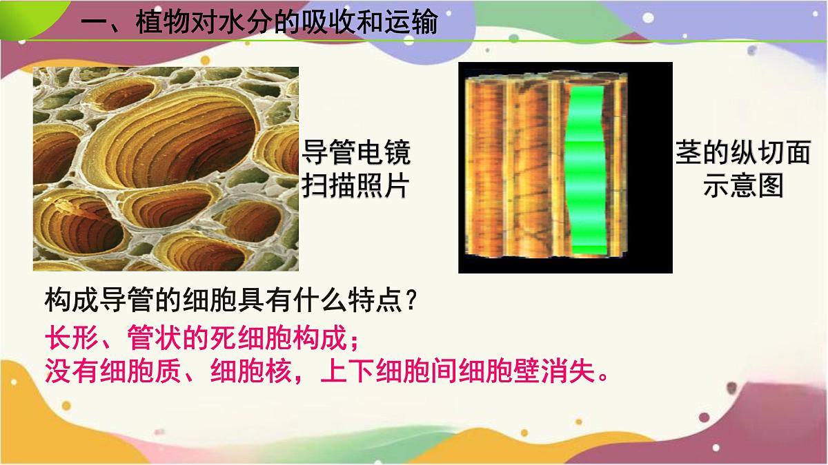 3.2.1 水的利用与散失 课件-2024-2025学年人教版生物七年级下册第7页