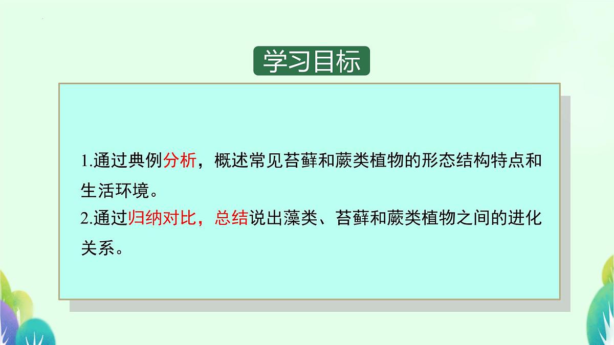初中  生物  苏科版（2024） 七年级下册4.7.2 苔藓植物与蕨类植物 课件第2页