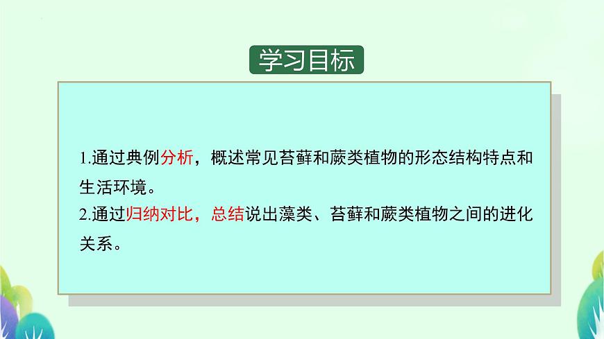 初中  生物  苏科版（2024） 七年级下册4.7.2 苔藓植物与蕨类植物 课件第2页