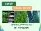 初中  生物  蘇科版（2024） 七年級下冊4.7.2 苔蘚植物與蕨類植物 課件