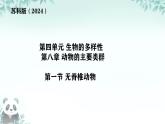 初中  生物  蘇科版（2024） 七年級下冊4.8.1 無脊椎動物 課件