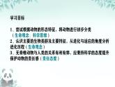初中  生物  蘇科版（2024） 七年級下冊4.8.1 無脊椎動物 課件