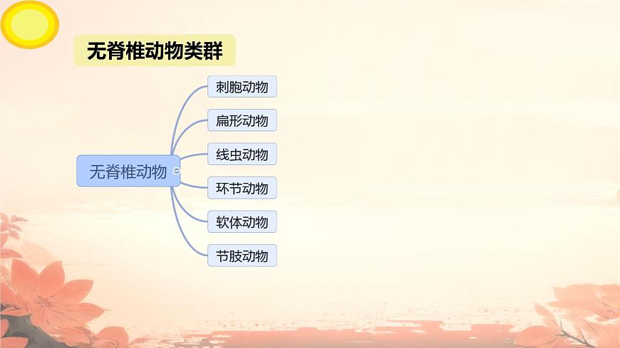 初中  生物  苏科版（2024） 七年级下册4.8.1 无脊椎动物 课件第4页