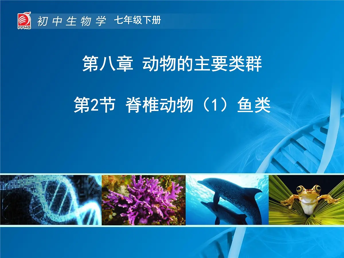初中 生物 苏科版（2024） 七年级下册4.8.2脊椎动物 课件第1页