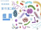 初中  生物  蘇科版（2024） 七年級下冊4.9.1 病毒與細菌（第2課時）課件