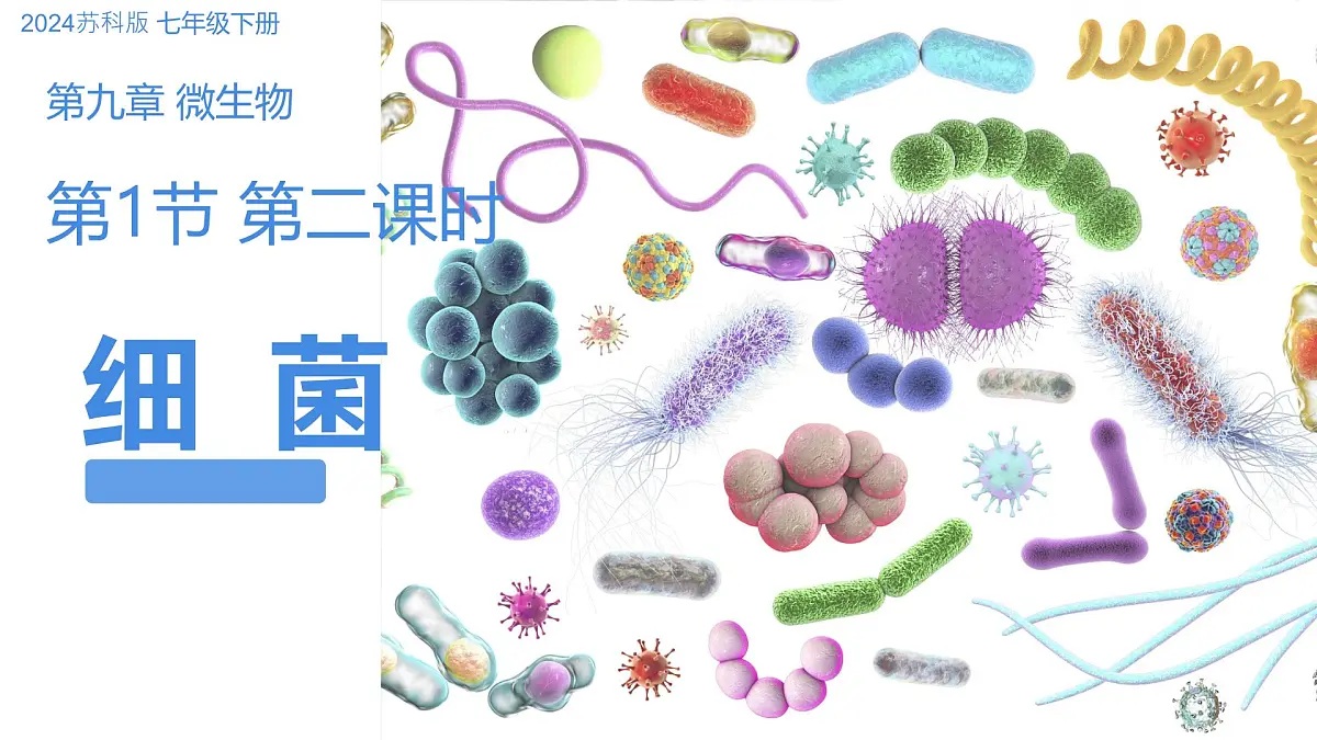 初中 生物 苏科版（2024） 七年级下册4.9.1 病毒与细菌（第2课时）课件第1页