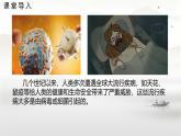 初中  生物  蘇科版（2024） 七年級下冊4.9.1.1 病毒與細菌 課件