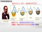 初中  生物  蘇科版（2024） 七年級下冊4.9.1.2 病毒與細菌 課件