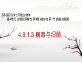 初中  生物  蘇科版（2024） 七年級下冊4.9.1.3 病毒與細菌 課件