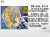 初中  生物  蘇科版（2024） 七年級下冊4.9.1.3 病毒與細菌 課件