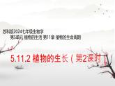 初中  生物  蘇科版（2024） 七年級(jí)下冊(cè)5.11.2 植物的生長(zhǎng)（第2課時(shí)）課件