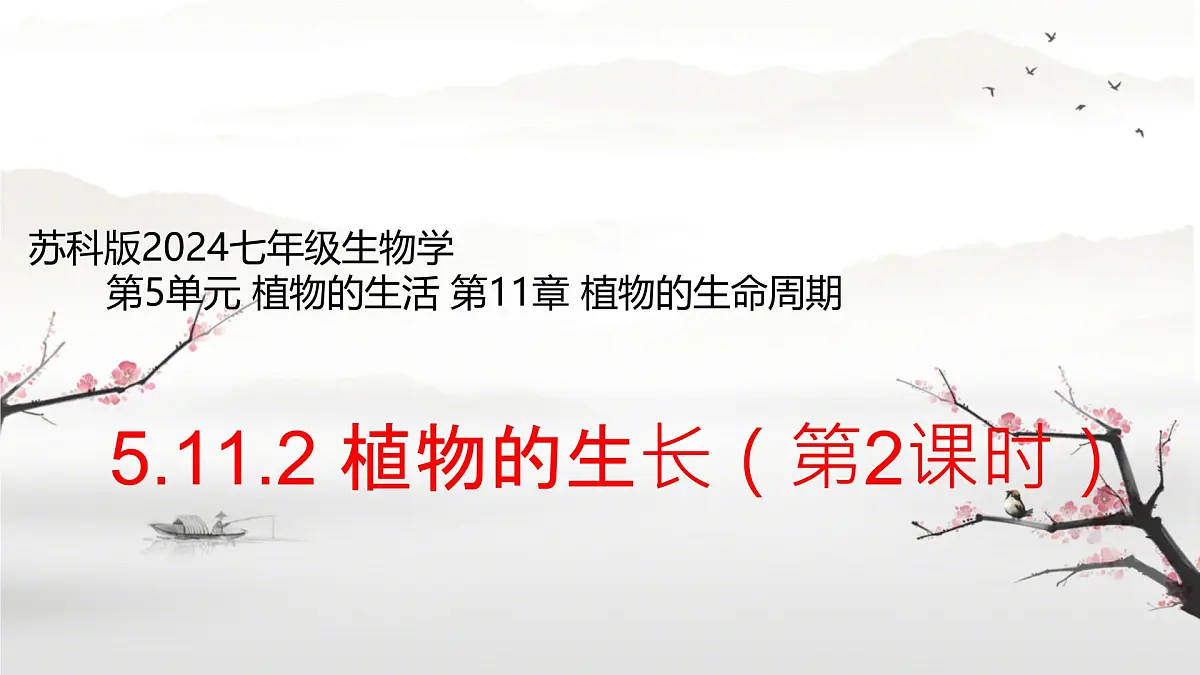 初中 生物 苏科版（2024） 七年级下册5.11.2 植物的生长（第2课时）课件第1页