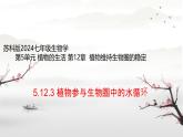 初中  生物  蘇科版（2024） 七年級下冊5.12.3 植物參與生物圈中的水循環(huán) 課件