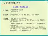 初中 生物濟(jì)南版（2024）七年級下冊3.2.1  花是被子植物特有的生殖器官 課件