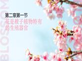 初中 生物濟(jì)南版（2024）七年級下冊3.2.1  花是被子植物特有的生殖器官 課件