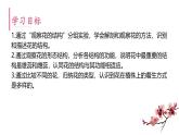 初中 生物濟(jì)南版（2024）七年級下冊3.2.1  花是被子植物特有的生殖器官 課件