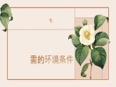 綜合實踐項目 栽培一種植物，探究所需的環(huán)境條件 2025學年七年級生物下冊（人教版） 課件