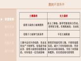 綜合實踐項目 栽培一種植物，探究所需的環(huán)境條件 2025學年七年級生物下冊（人教版） 課件