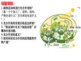 初中 生物 濟南版（2024）七年級下冊3.1.3  植物通過光合作用固定光能 （第一課時）課件