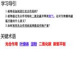 初中 生物 濟南版（2024）七年級下冊3.1.3  植物通過光合作用固定光能（第二課時） 課件