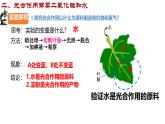 初中 生物 濟南版（2024）七年級下冊3.1.3  植物通過光合作用固定光能（第二課時） 課件