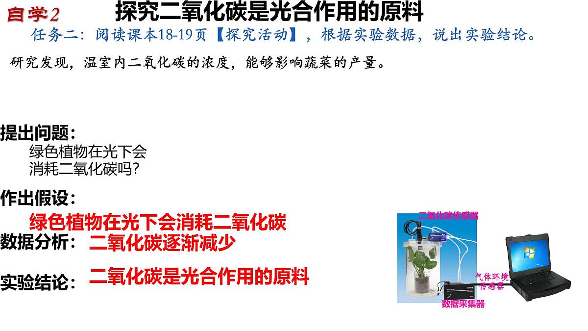 初中 生物 济南版（2024）七年级下册3.1.3  植物通过光合作用固定光能（第二课时） 课件第6页
