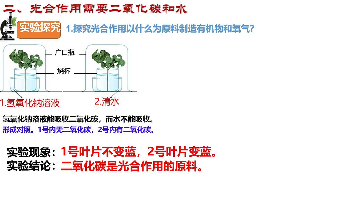 初中 生物 济南版（2024）七年级下册3.1.3  植物通过光合作用固定光能（第二课时） 课件第8页