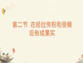 初中 生物 濟南版（2024）七年級下冊3.2.2  花經(jīng)過傳粉和受精后形成果實 課件
