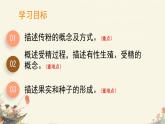 初中 生物 濟南版（2024）七年級下冊3.2.2  花經(jīng)過傳粉和受精后形成果實 課件